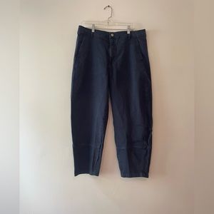 Everlane barrel pants